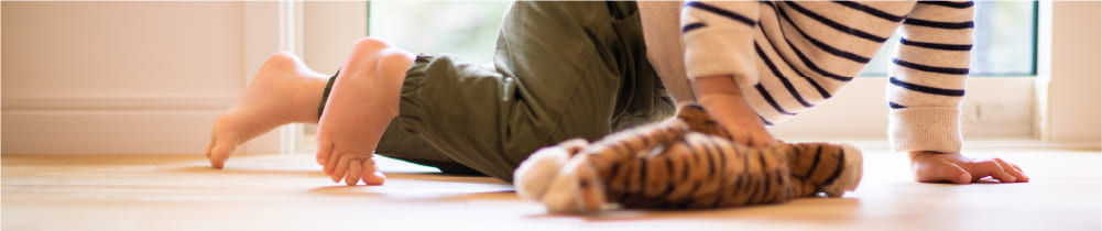 ハイブリッドソーラーハウス