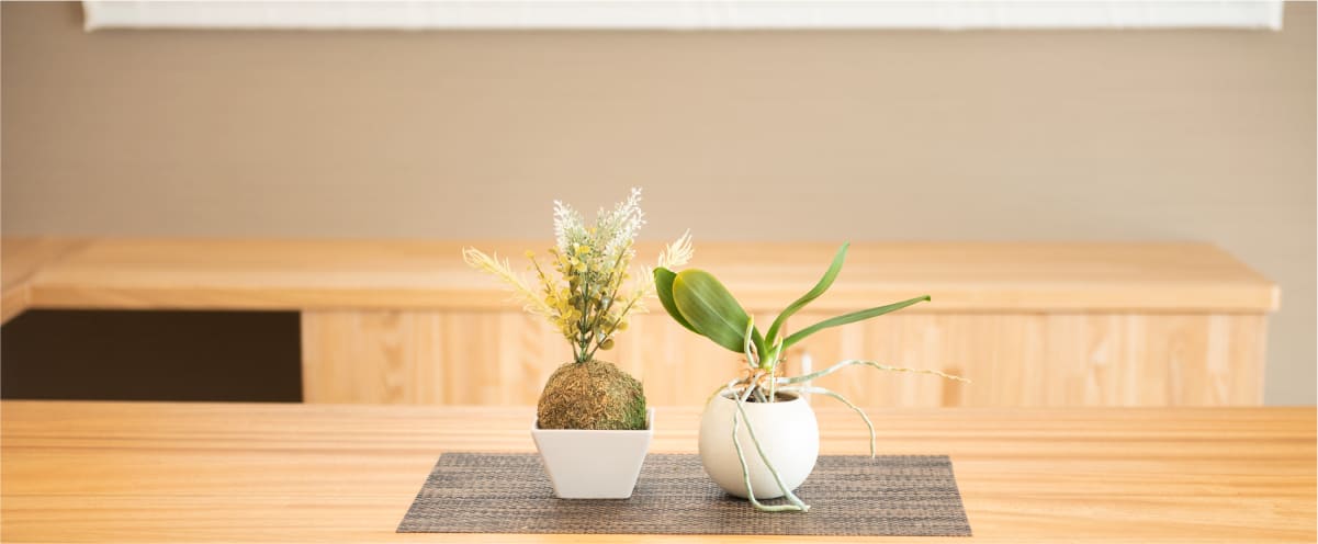 木材を基調とした一戸建て住宅のリビング